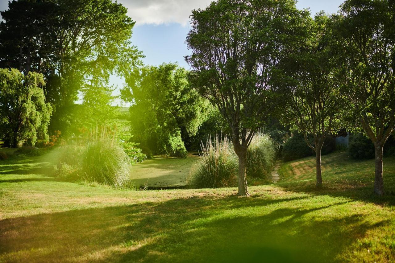 Parehua Resort Martinborough Ruang foto