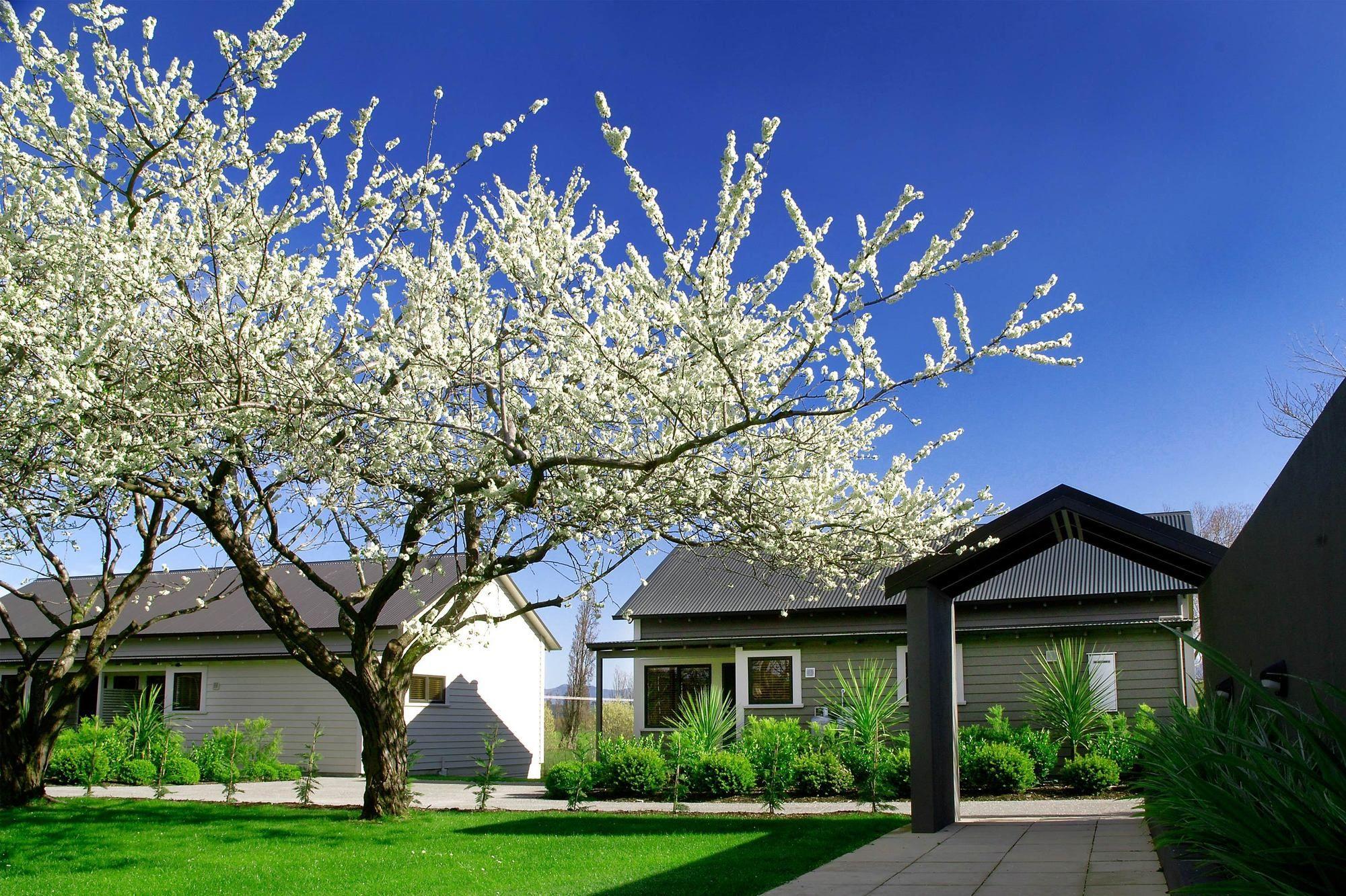 Parehua Resort Martinborough Bagian luar foto Residential area in the town